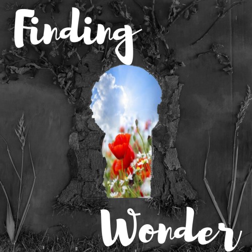 Finding